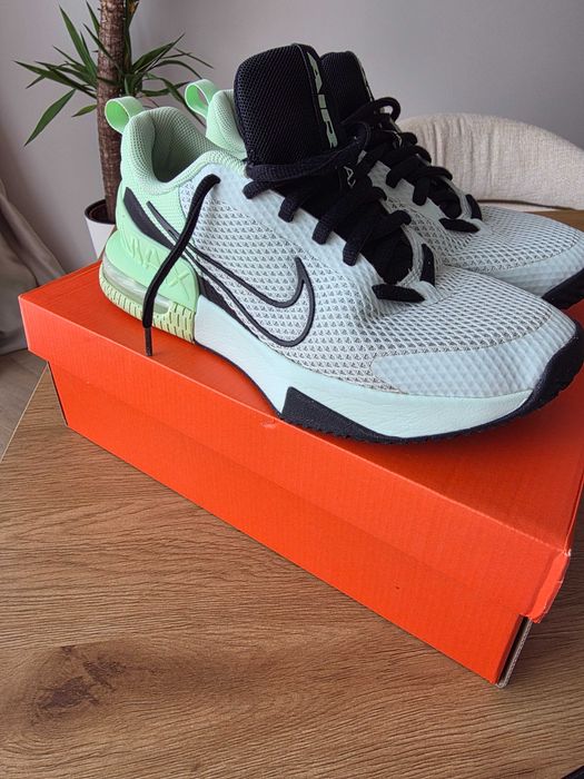 Маратонки Nike Air Max Alpha Trainer 6