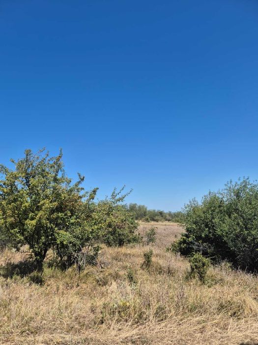 Vand teren extravilan 3 ha Livada Mare, Comuna Grebanu, jud Buzau