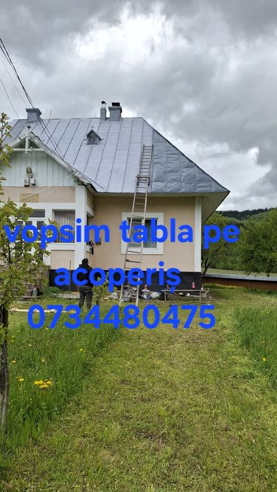 Vopsim orice tip de tablă