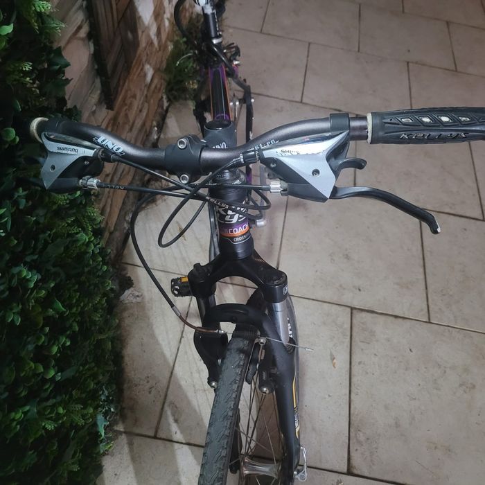 Bicicleta Kelly  Coach