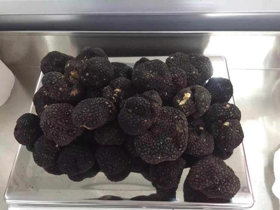 Trufe negre. proaspete,