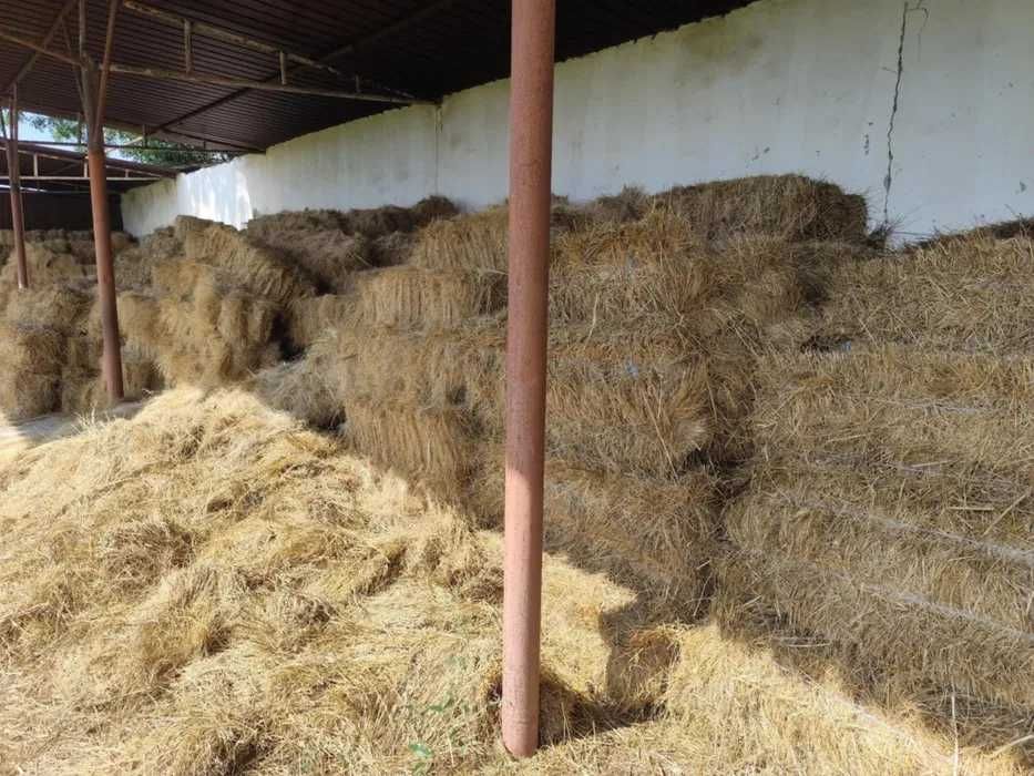 Vand baloti de fan si otava