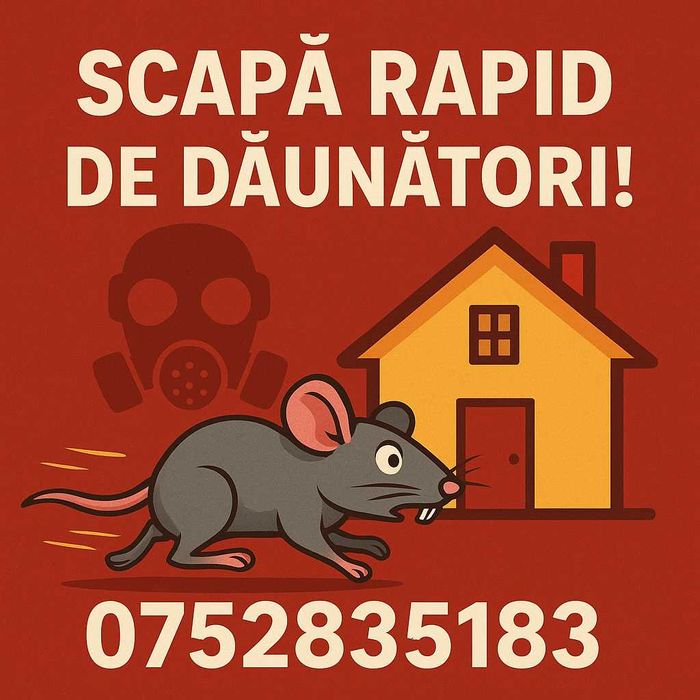 Dezinsectie Si Deratizare