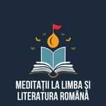 Meditatii / Pregatire Limba Romana