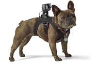 GoPro Dog mount за куче