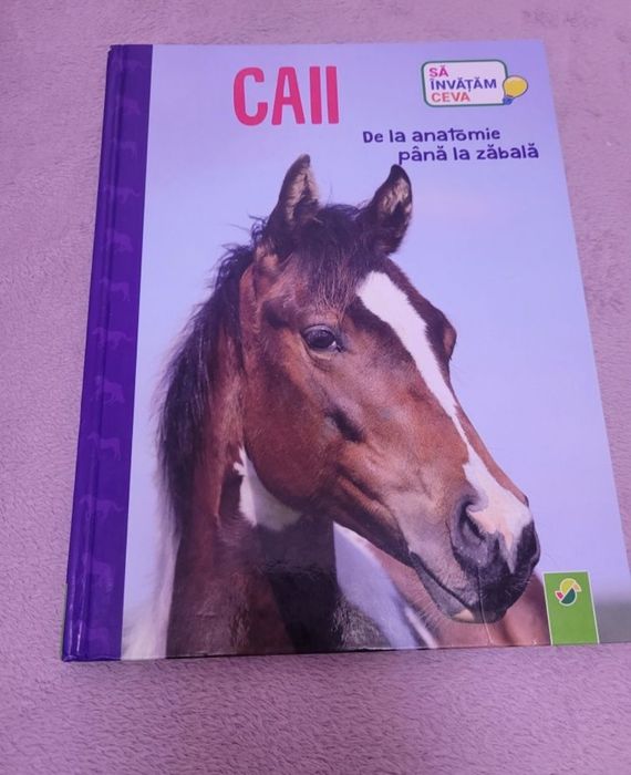 Carte+ Cal de jucarie