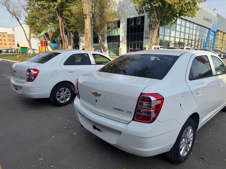 COBALT STYLE MCM  2025/2026 Bez probeg