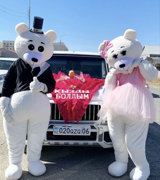 Мишка тедди на пркат