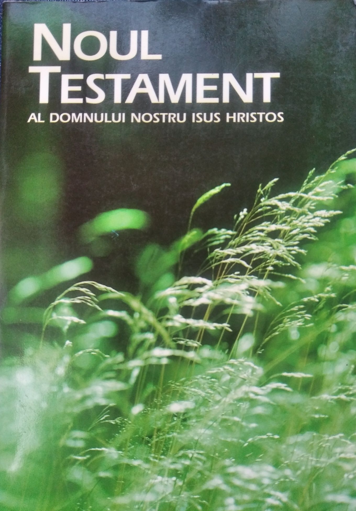 Biblia sau Noul Testament GRATUIT