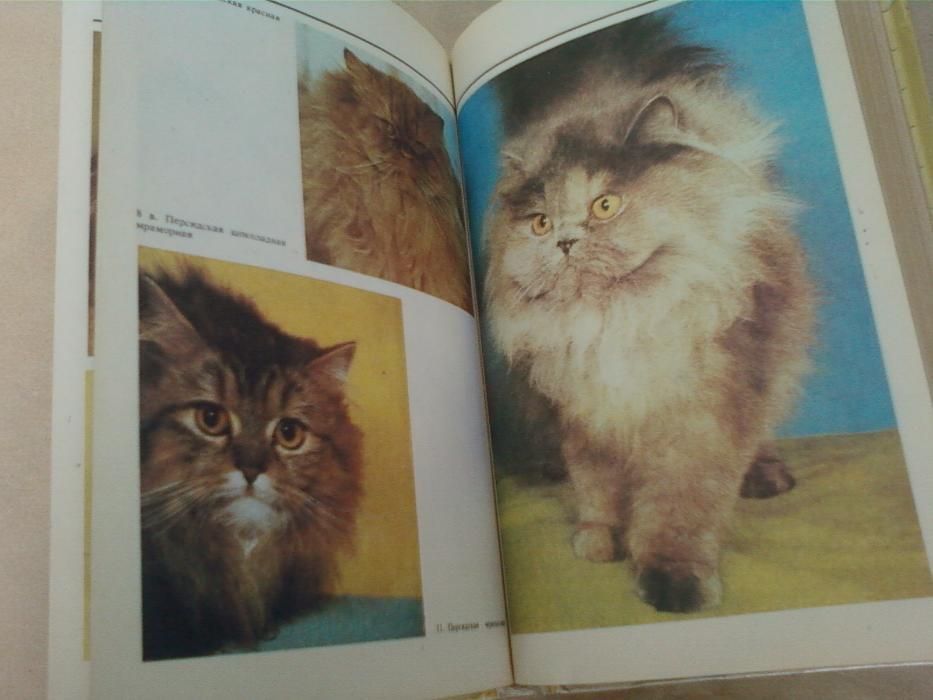 Домашние Кошки Книга . Издание Москва 1991 года .