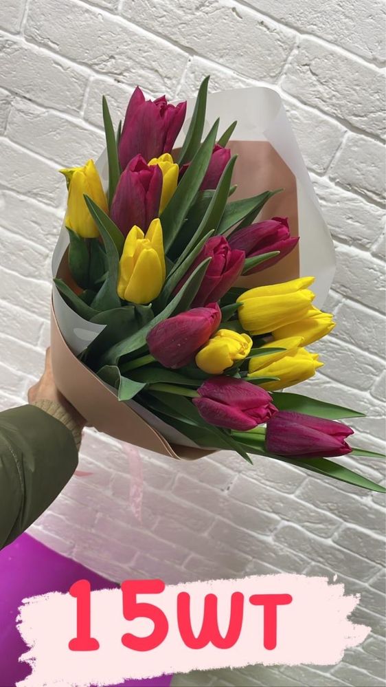 Тюльпаны Караганда предзаказ тюльпанов на март месяц