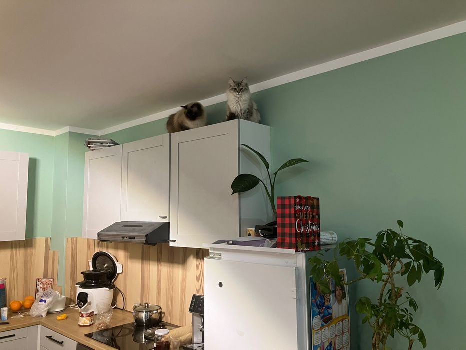 тристаен апартамент бизнес парк със самостоятелен двор