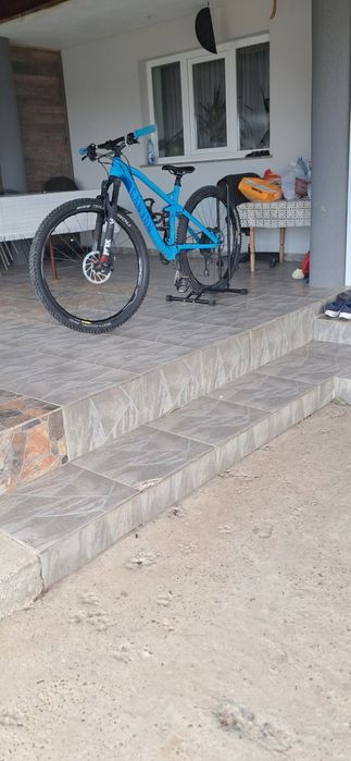 Canyon neuron al.6 2020