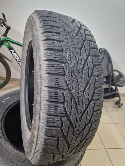Nokian hakkapeliitte