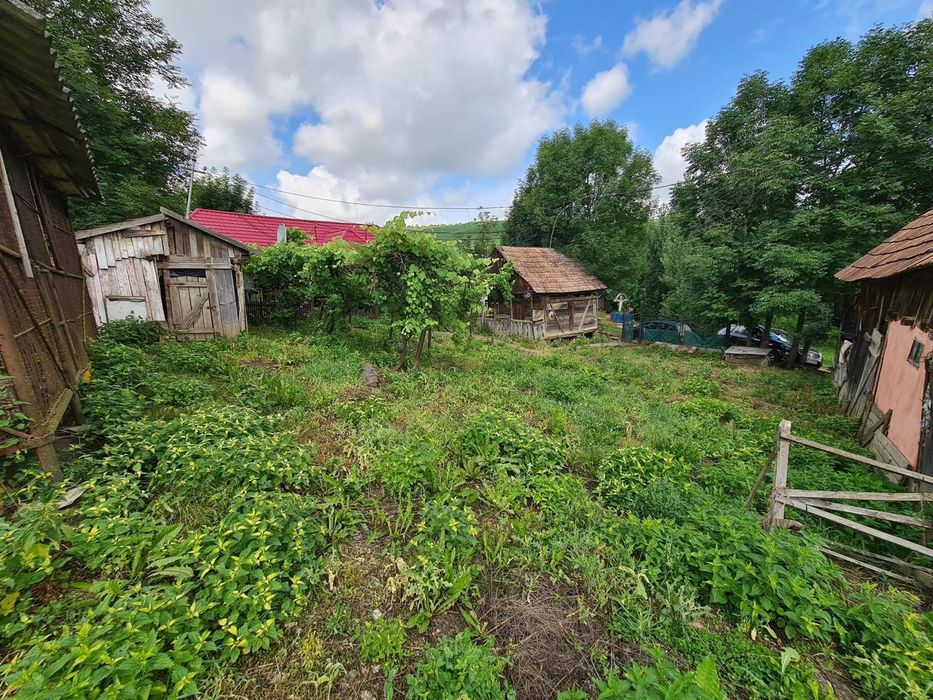 Casa și teren in Sângeorgiu de Campie
