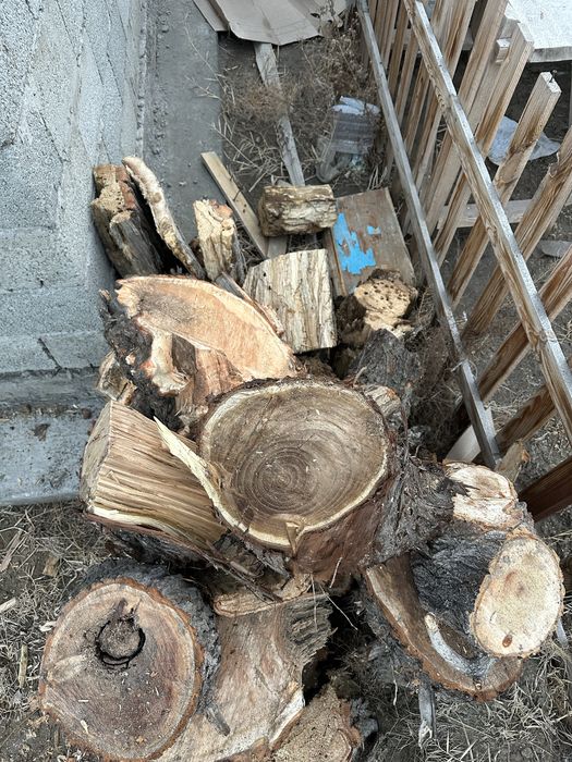 Продам дрова самовывоз 3000
