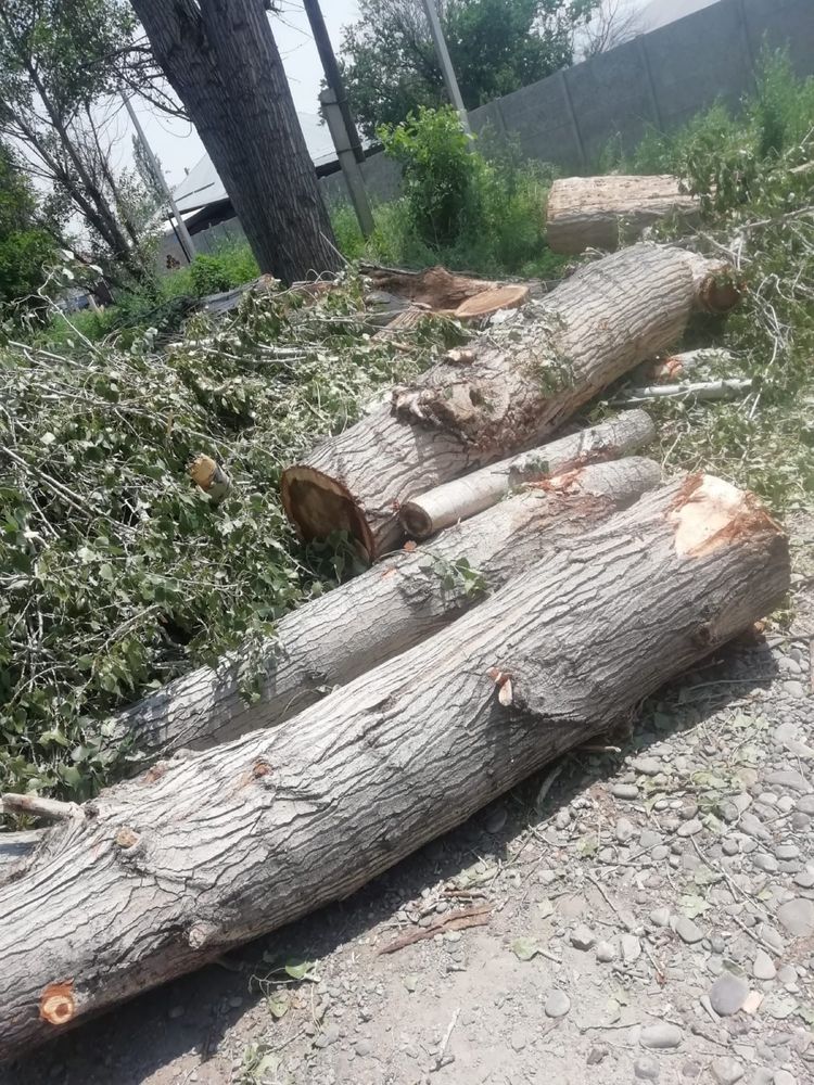 Продам на дрова СРОЧНО