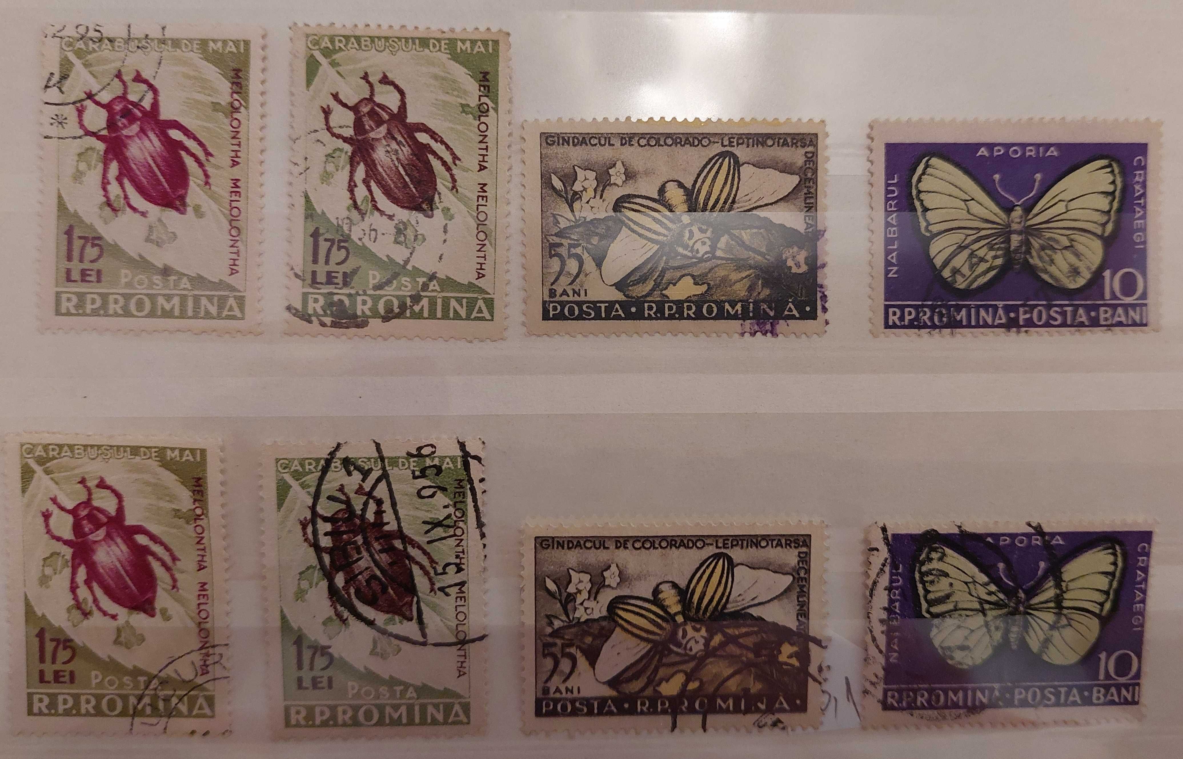 Timbre ROMANIA 1956/413-Insecte Daunatoare+Carabus culoare schimbată