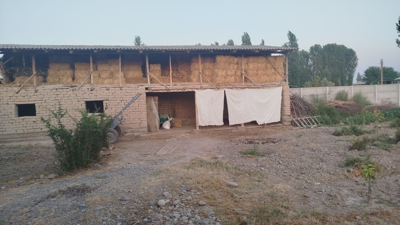 Hovli 16 sotix 5 xona tayor 3 xona bitmagan