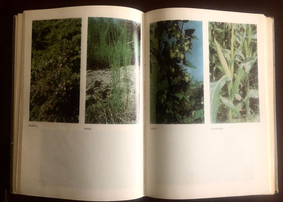 Книга за билките в България и използването им.