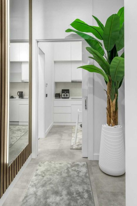 Kunlik ijara lux uslubdagi honadon Nest one turar joy kompleksi