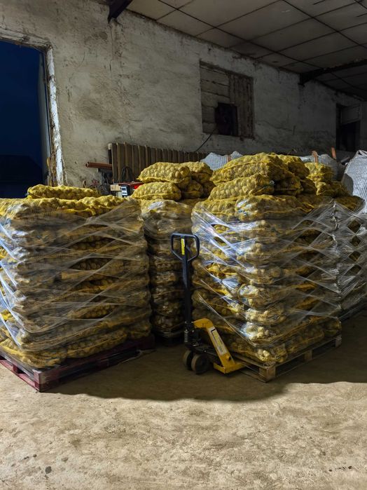 Картофи за консумация Сорая