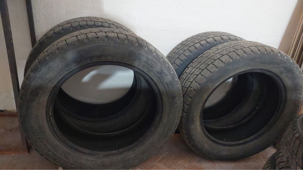 Зимние шины Nexen