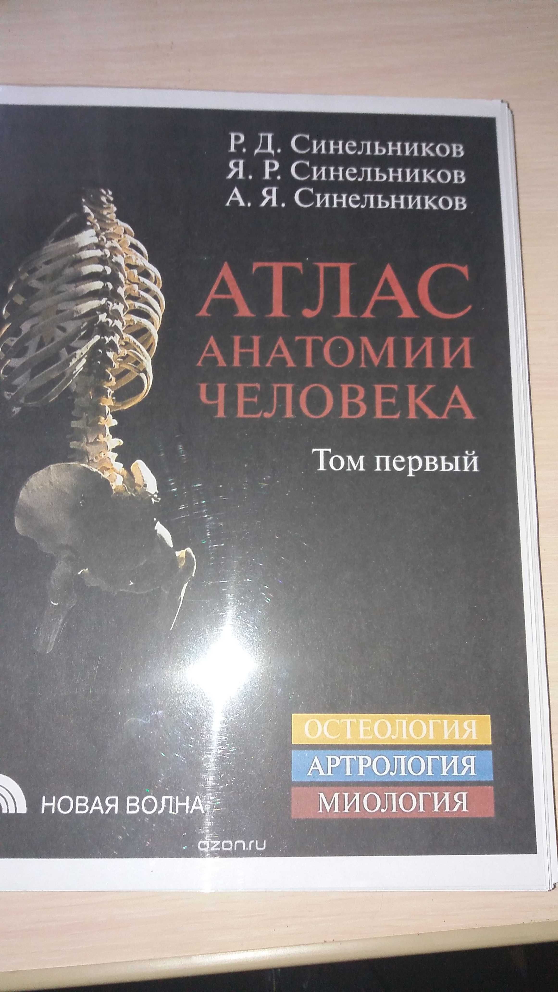 Анатомия атлас Автор Синельников