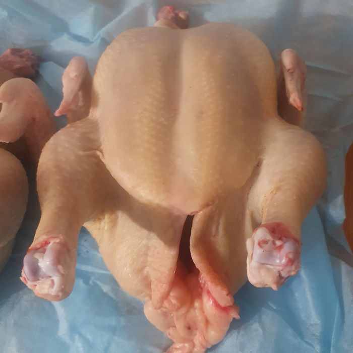 Мясо домашнего бройлера