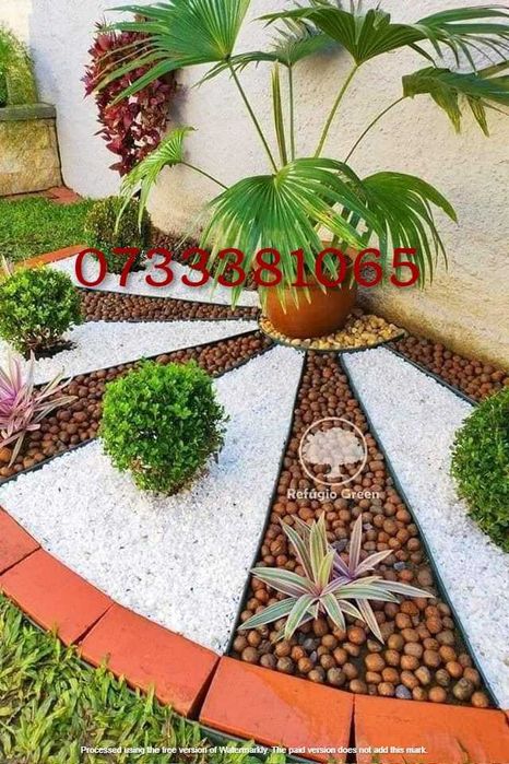 Plante Decorative