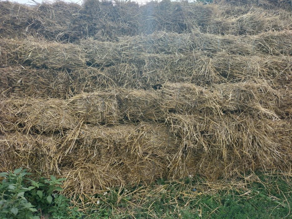 Vând baloți de paie