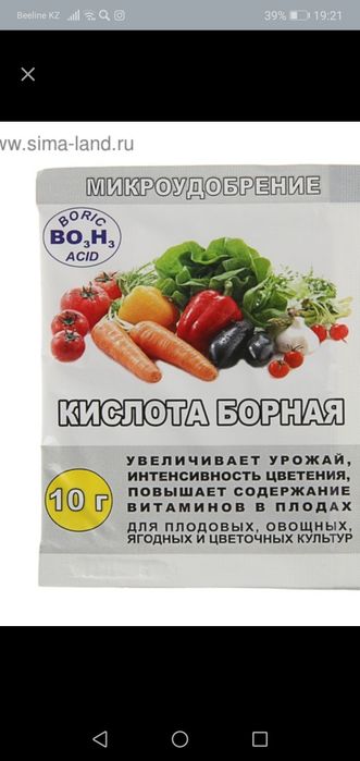 Борная кислота 10 гр.