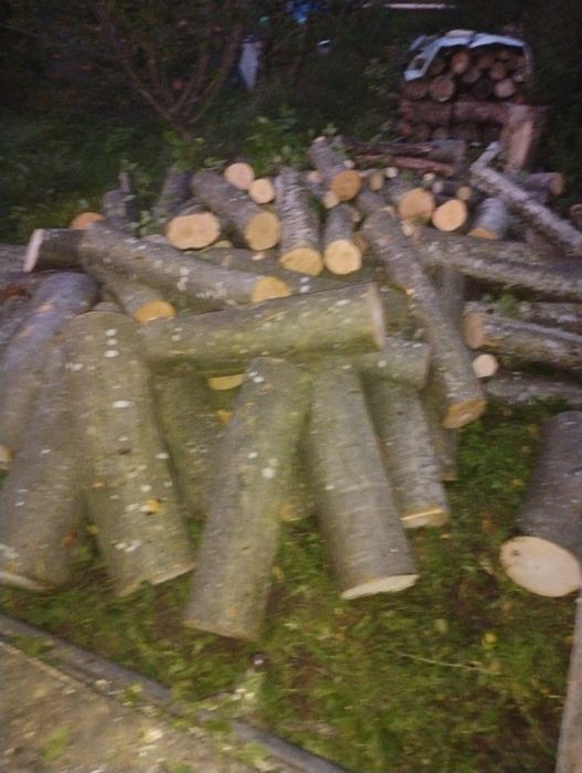 Lemne de foc esențe tare