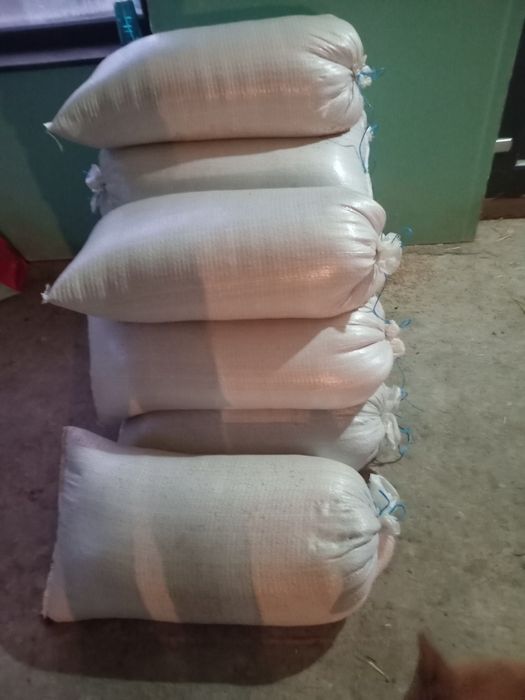 Grau de vinzare arad