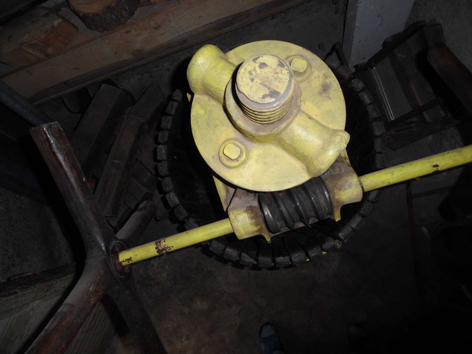 Presa struguri(Teasc)