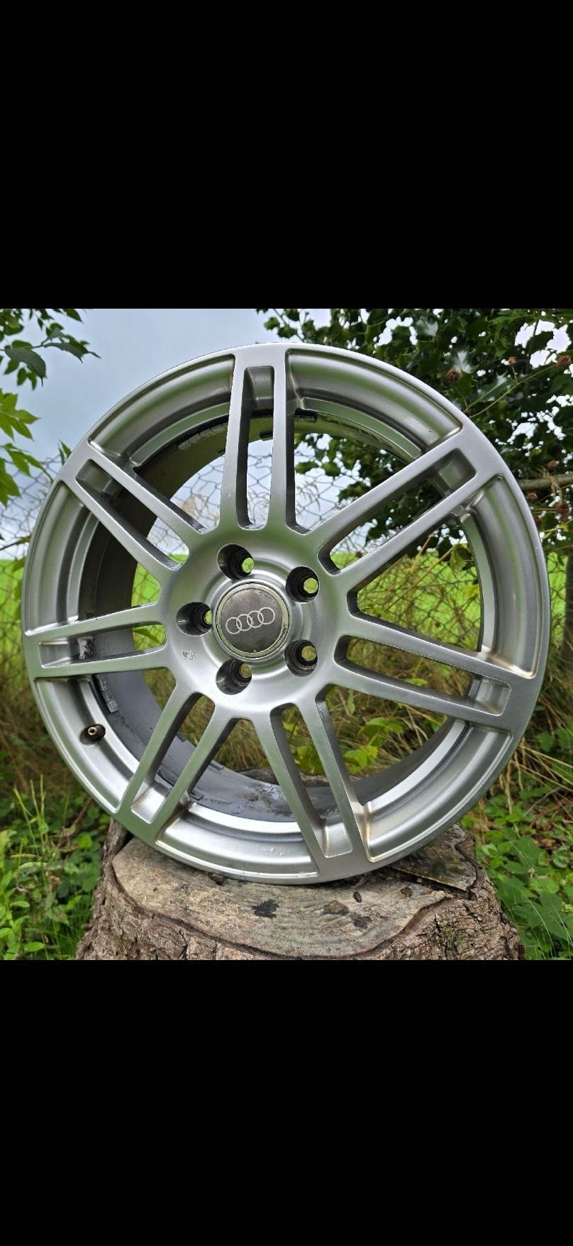 Джанти Ауди Speedline