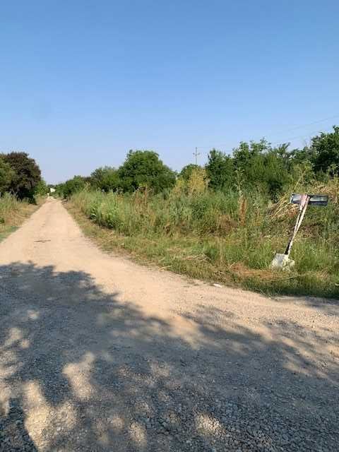 Teren 1000 mp  intravilan Tancabesti Snagov
