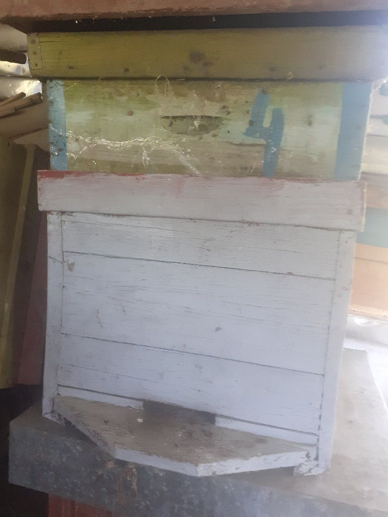 Lăzi de albine din lemn