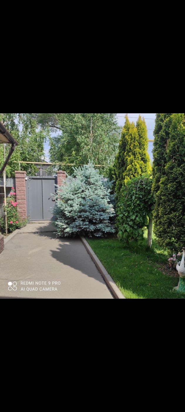 Срочно продается дом, В ОТЛИЧНОМ СОСТОЯНИИ