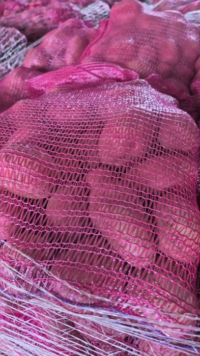 Cartofi pol cantități mari toate soiurile