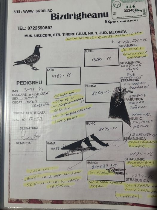 Femela maraton extrem