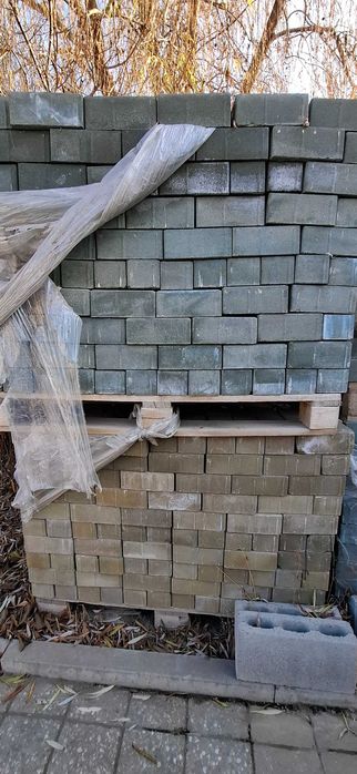 Тротуарная плитка (100х200х80)