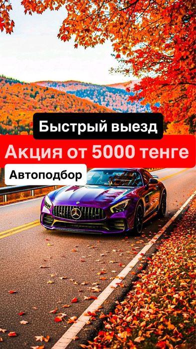 Толщиномер дымогенератор Автоподбор компьютерная диагностика