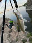 Lanseta Zenaq Snipe Longcast RG s86xx + Shimano Stella 4000M