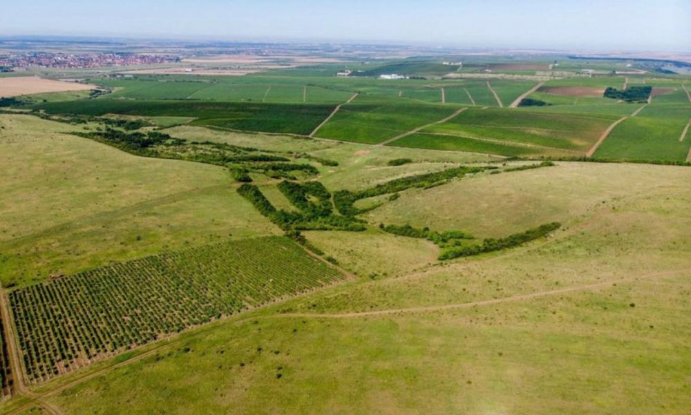 Anunț vânzare teren extravilan