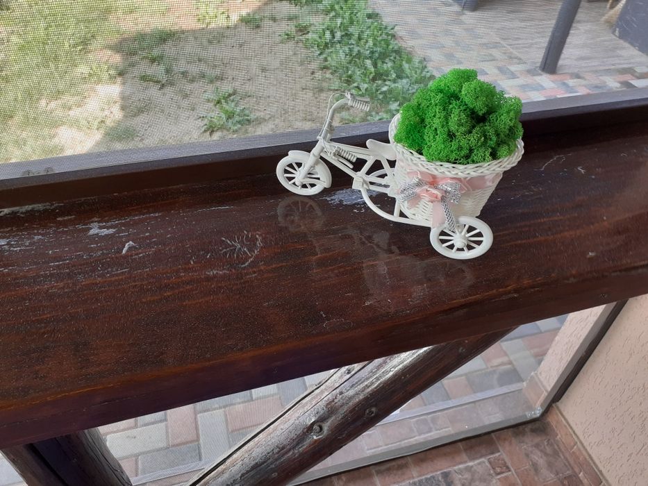 Ornamente cu lichieni