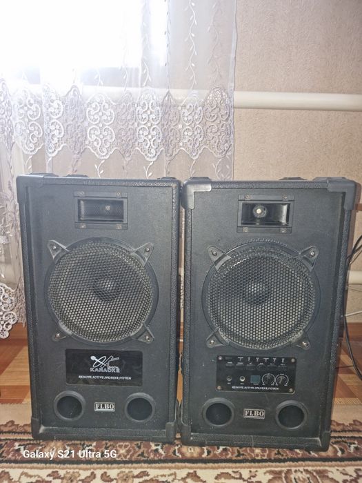 Колонки FLBO караоке