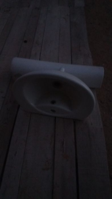 Раковина тюльпан хороший