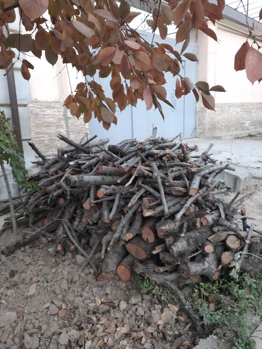 Дрова для дачи,бани и поочее