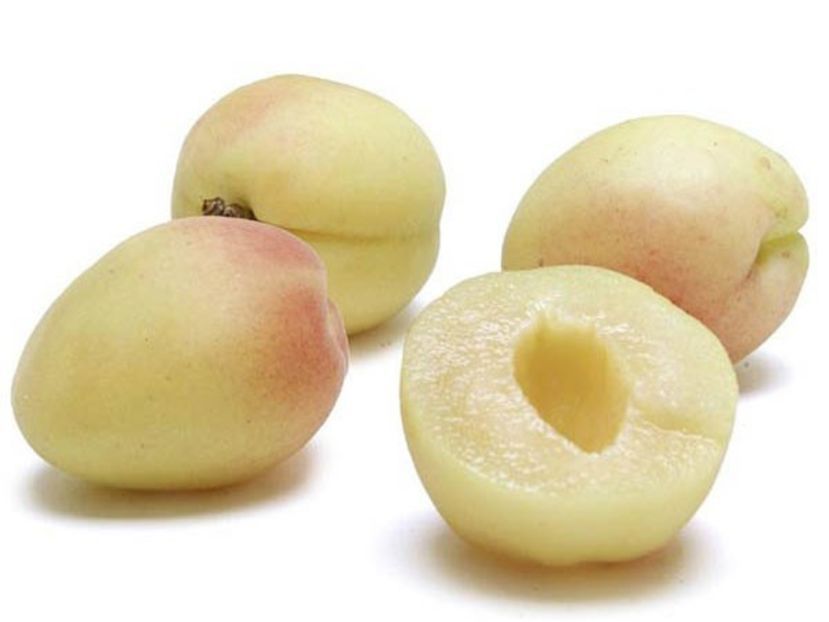 Pomi Fructiferi la Ghiveci (Cais )